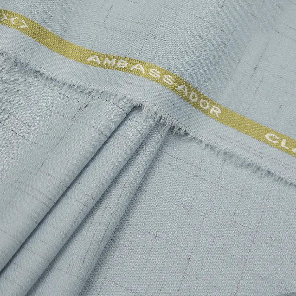 Ambassador