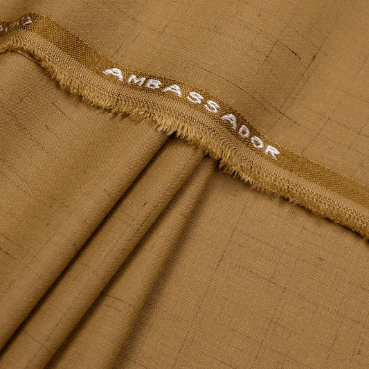 Ambassador